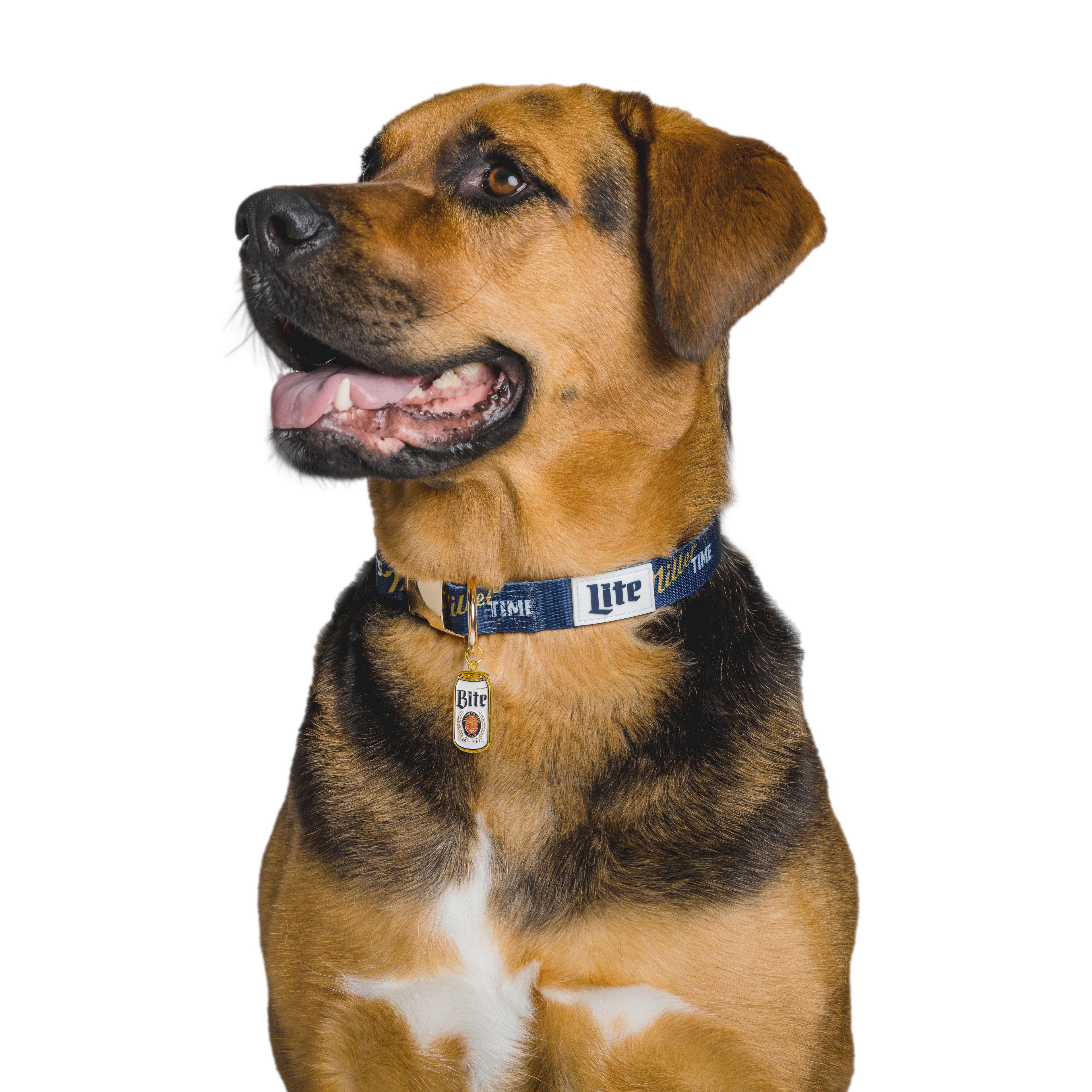 IT'S MILLER TIME PET COLLAR