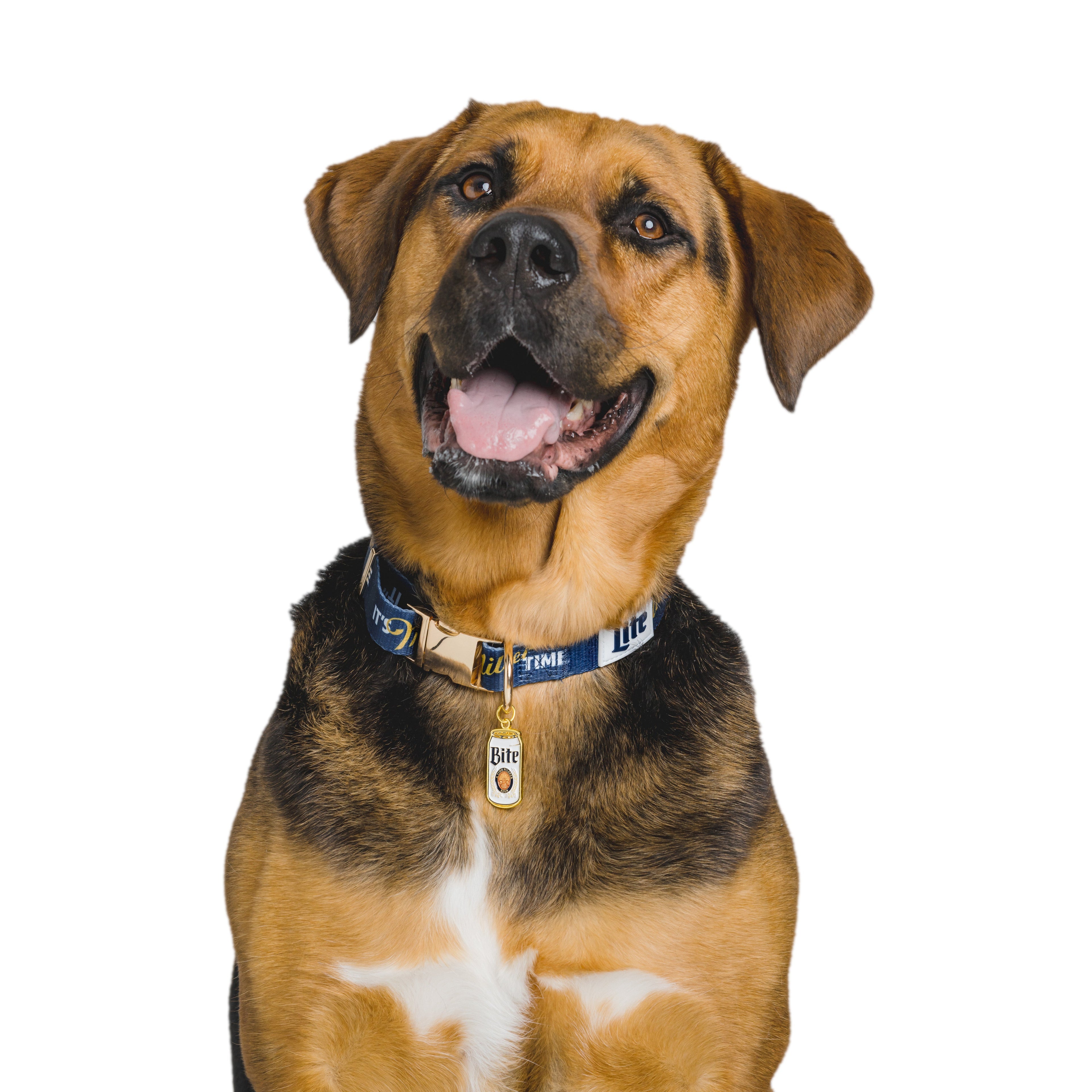 IT'S MILLER TIME PET COLLAR